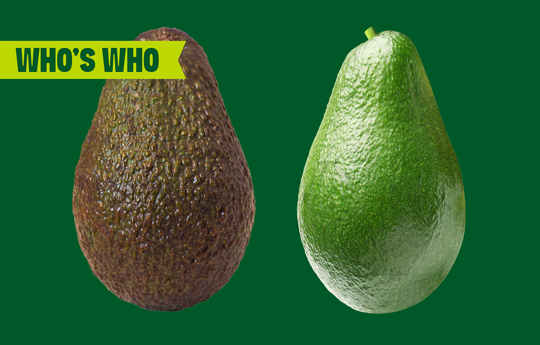 HomePage_BottomSection&Footer_HassOrShephard_