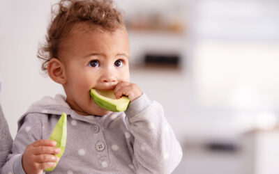 Avocado is an ideal complementary food for infants