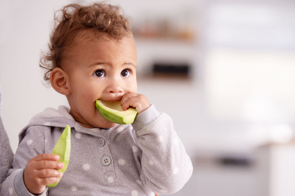 avocado-is-an-ideal-complementary-food-for-infants-australian-avocados